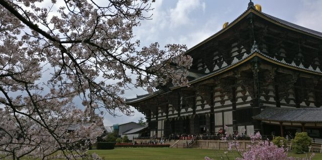 Japon 2016 Nara