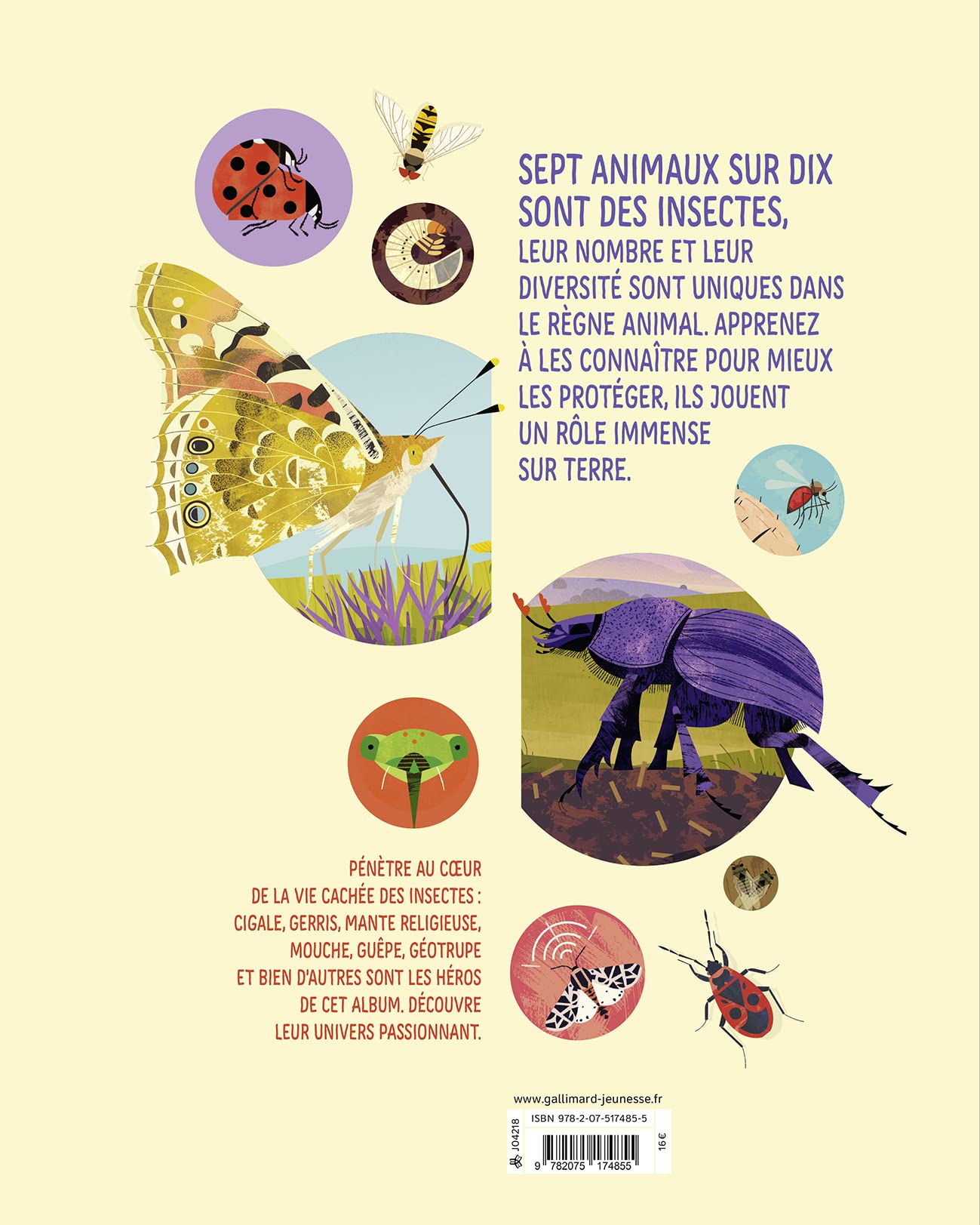 Insectes - Leur vie cachée, minuscule et essentielle
